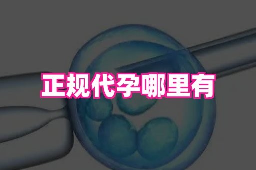 安徽助孕网 2