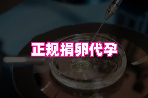 安徽助孕网 3
